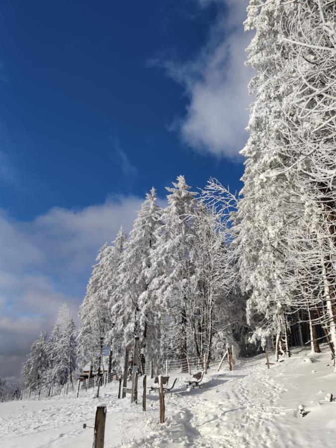 Ferienwohnung Landsmann Winterberg Esterno foto